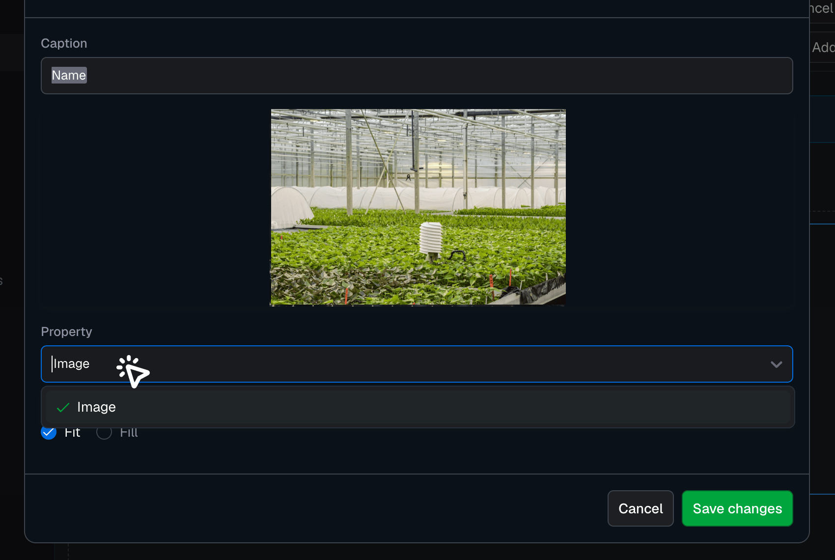 Configure image widget