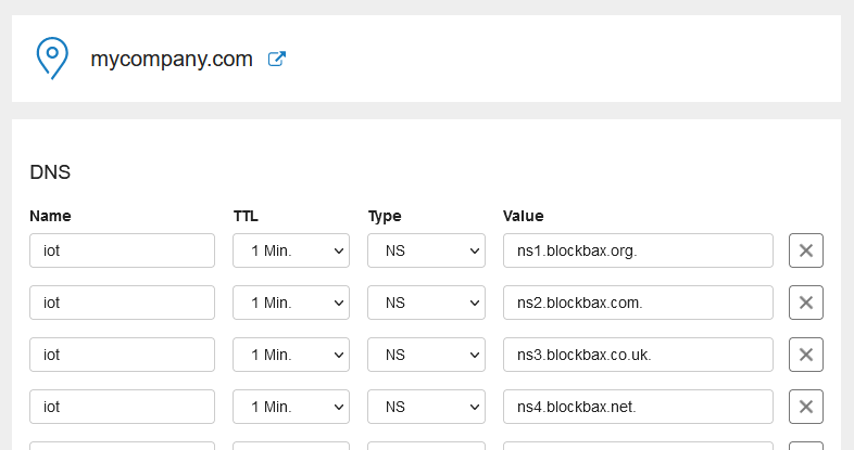 DNS settings example