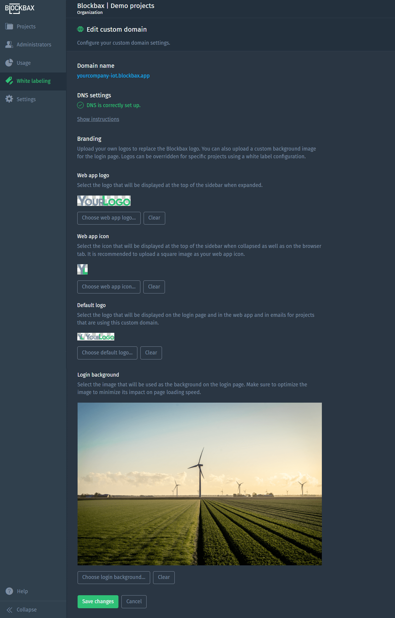 Custom domain configuration